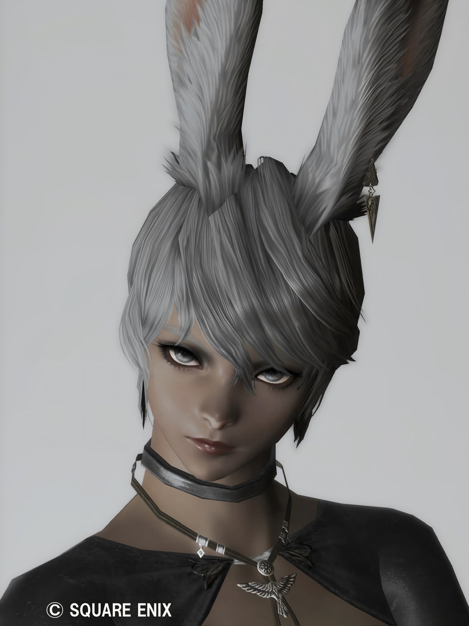 Fay Lioraのメイン画像