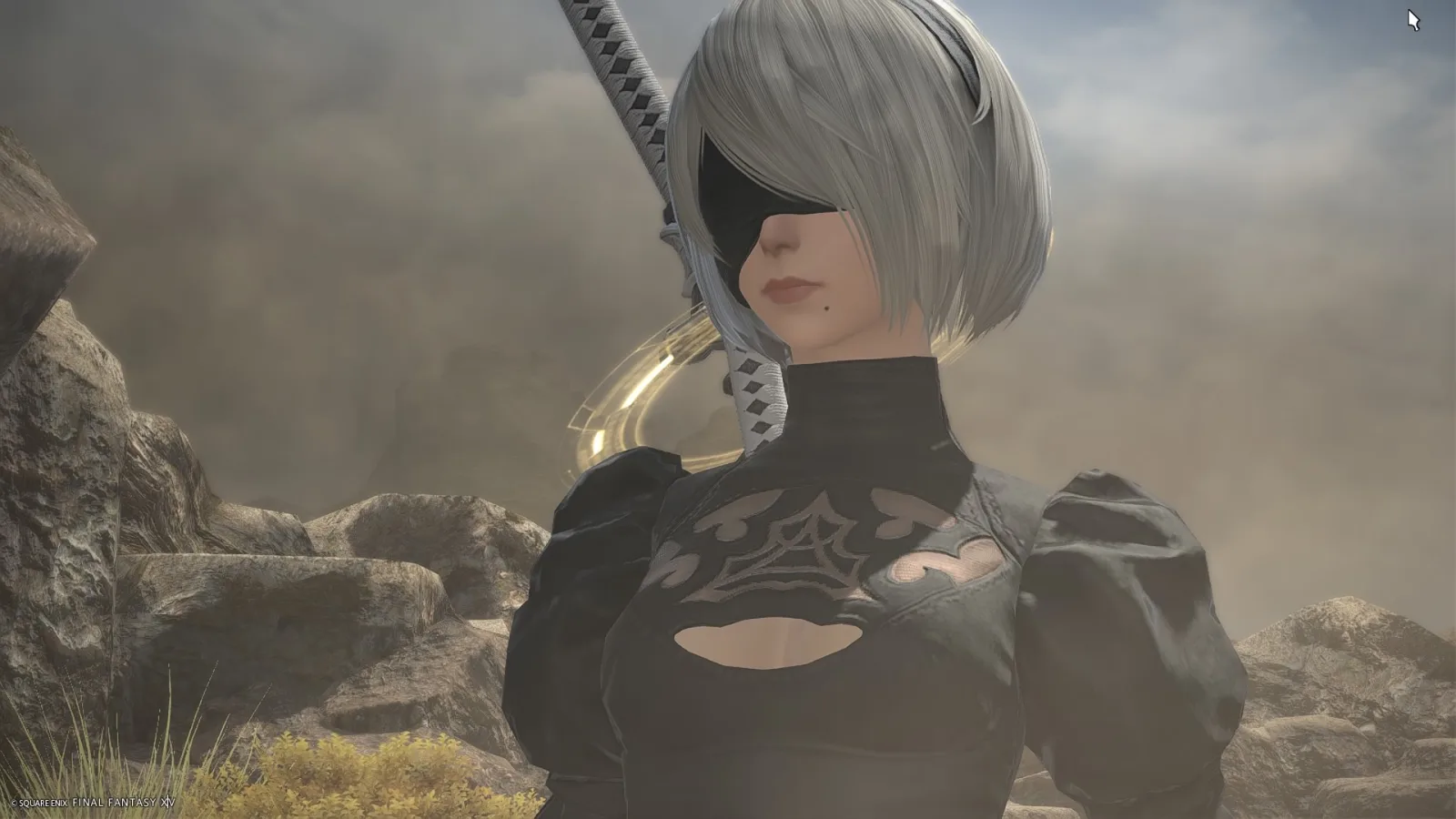 2B
